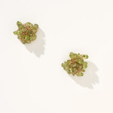 Load image into Gallery viewer, Precious Stone Stud Earrings